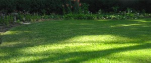 Lawn-Mowing--Hedge-Trimming-weed-whacking-grass-Fertilization