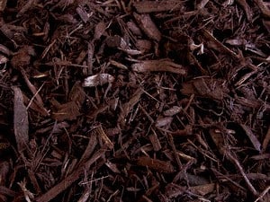 Auburn-mulch